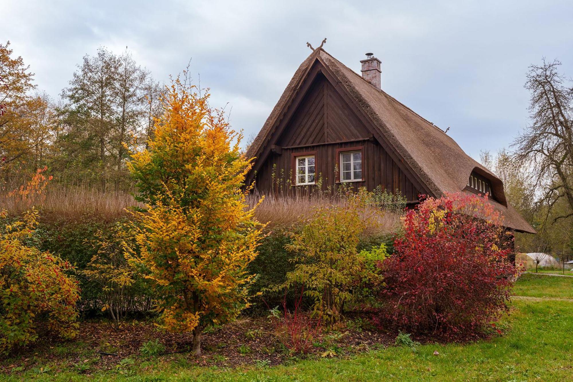 Exklusives Holzhaus Villa Burg  Exteriör bild