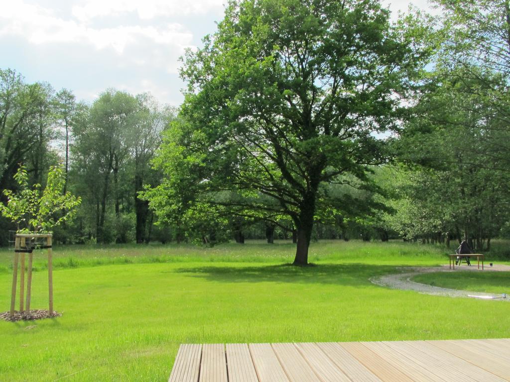 Exklusives Holzhaus Villa Burg  Rum bild
