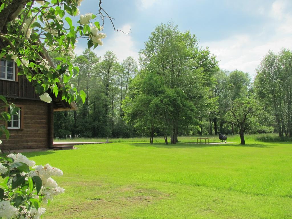Exklusives Holzhaus Villa Burg  Rum bild