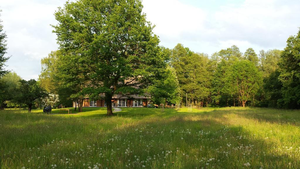 Exklusives Holzhaus Villa Burg  Rum bild